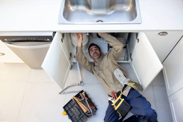 Best Septic Systems  in Waverly, MI