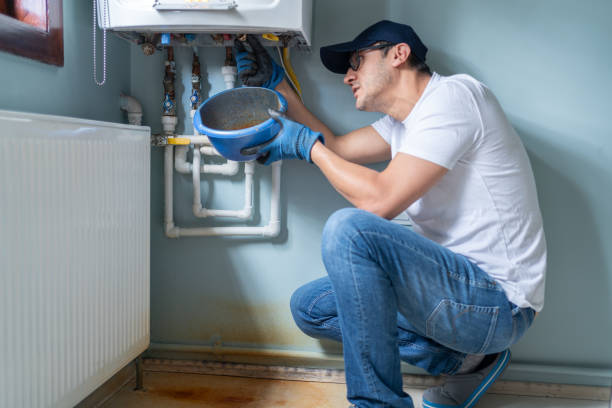 Best Plumbing Services Near Me  in Waverly, MI