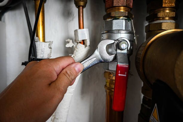 Best Emergency Plumber  in Waverly, MI